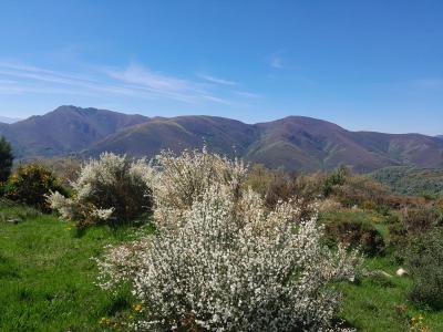 Foto San Fiz