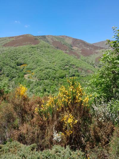 Paisaje de montaña 2025